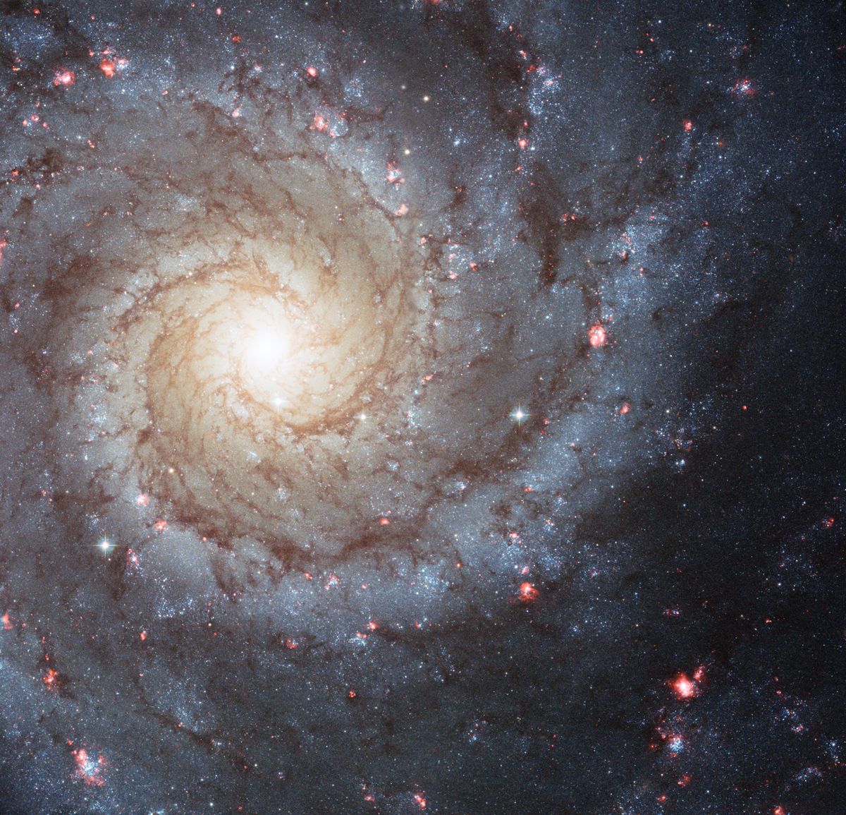 The golden ratio in a galactic spiral